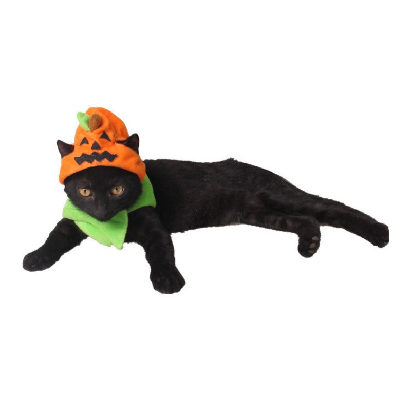 Halloween Pet Pumpkin Hat